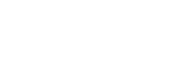 Docket Systems Logo